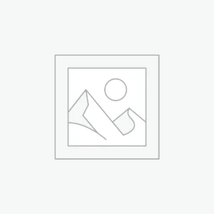 Premium Khejur Dates